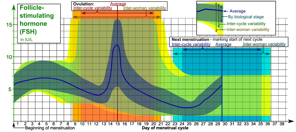 Basal Body Temperature BBT Charting Sussex Acupuncture