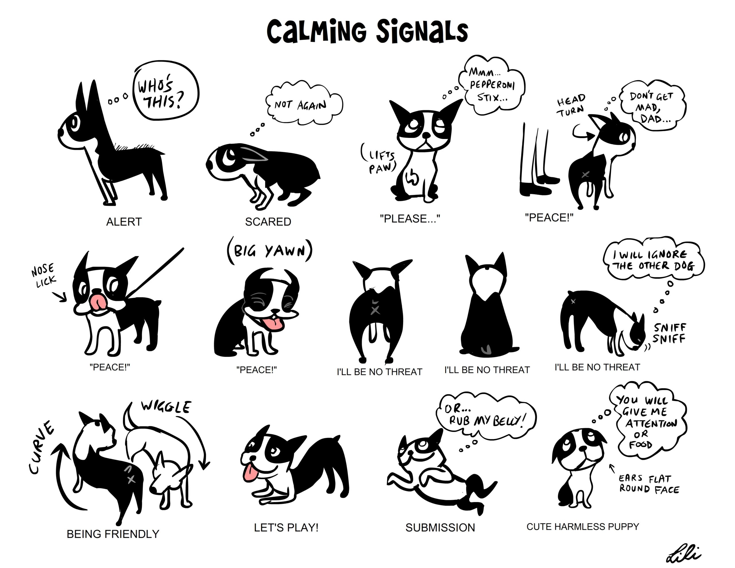 Behavior Basics Stuff You Need To Know