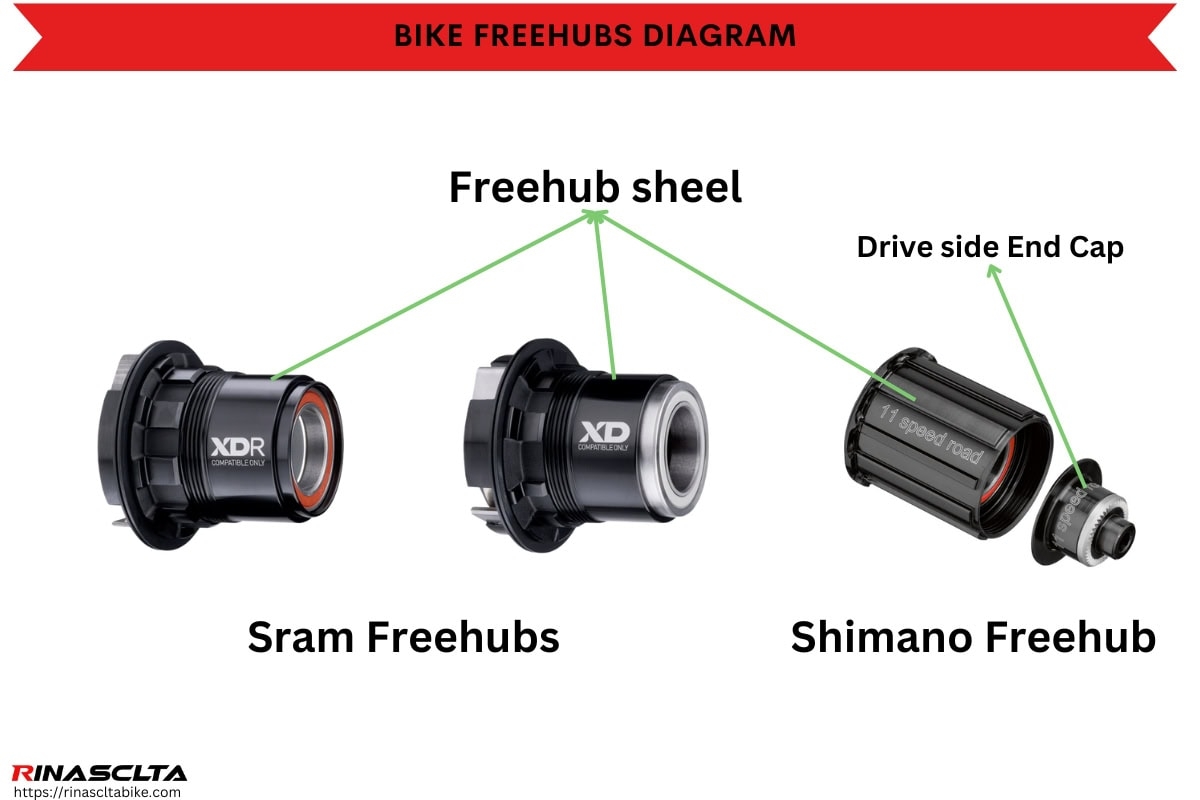 Bike Freehub Definition Types Compatibility And Maintenance