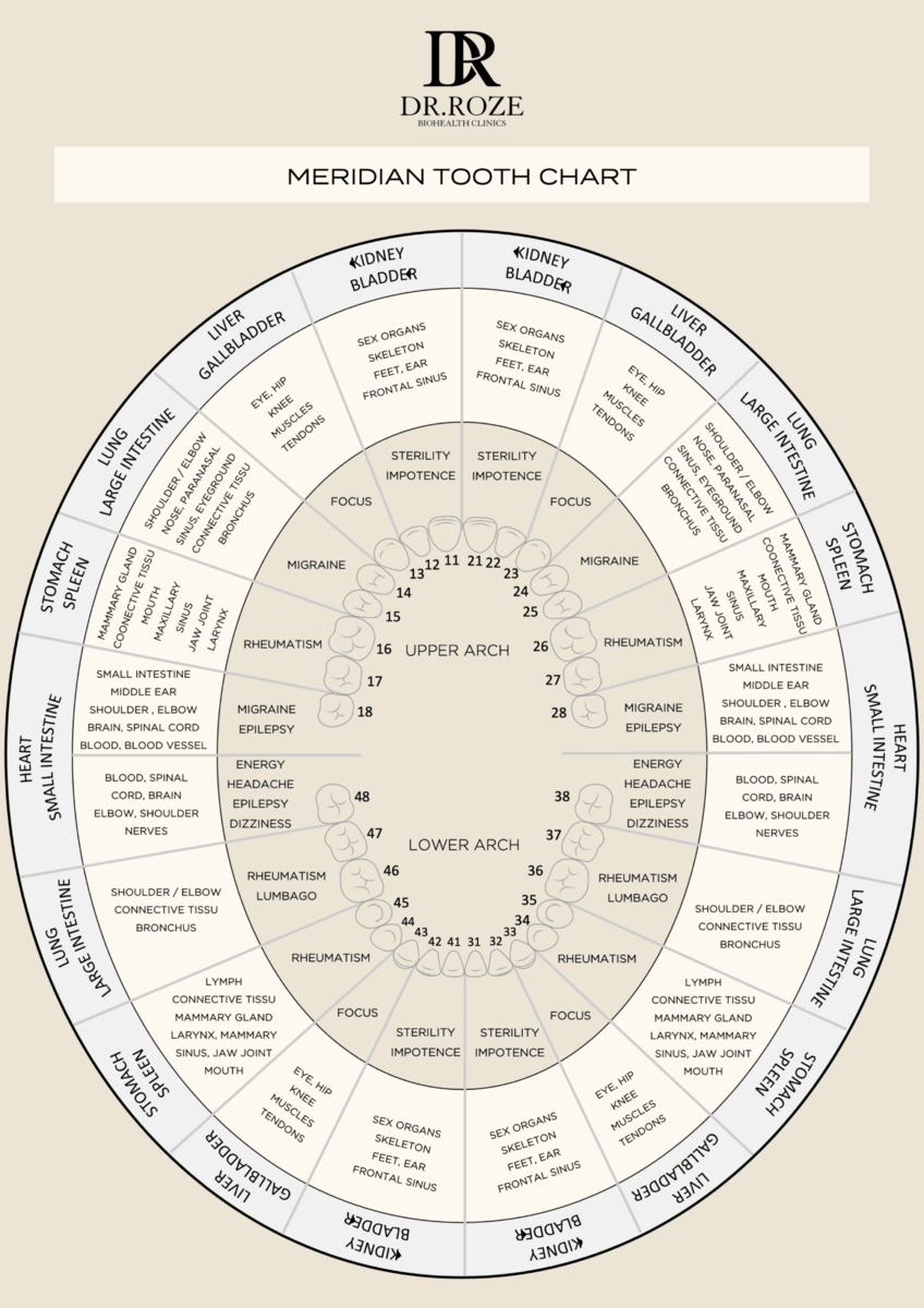 Biodental Tooth Chart Dr Roze Biohealth Clinic Meridian Tooth Chart