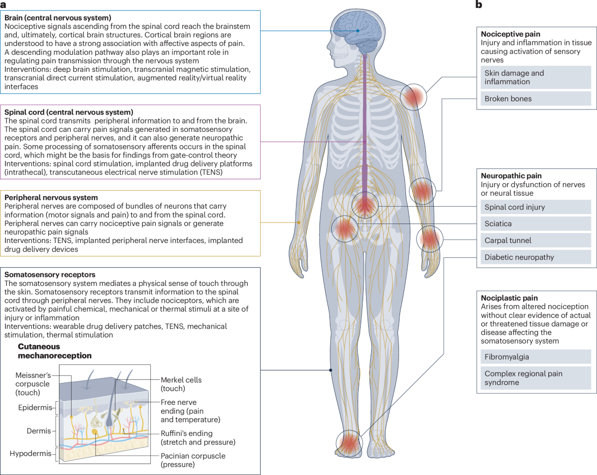Bioelectronics For Targeted Pain Management Nature Reviews Electrical Engineering