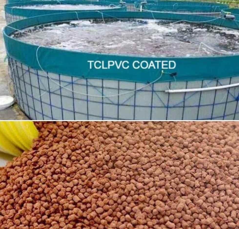 Biofloc Fish Feeding Chart Per Body Weight Agri Farming