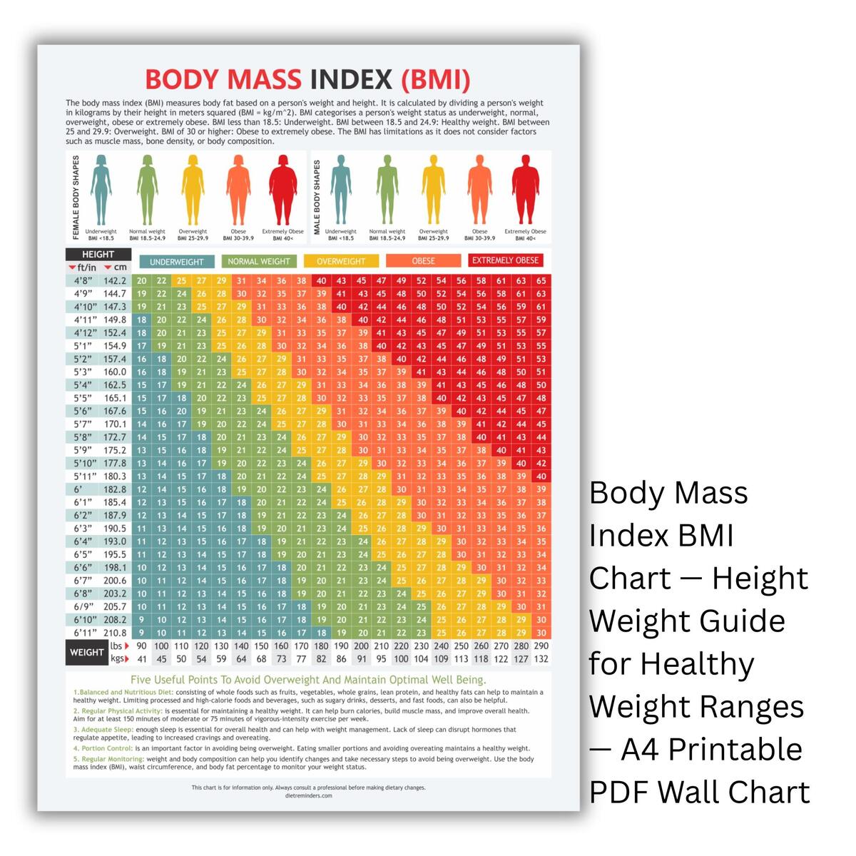 BMI Chart Height Weight Guide Printable A4 PDF Etsy Norway