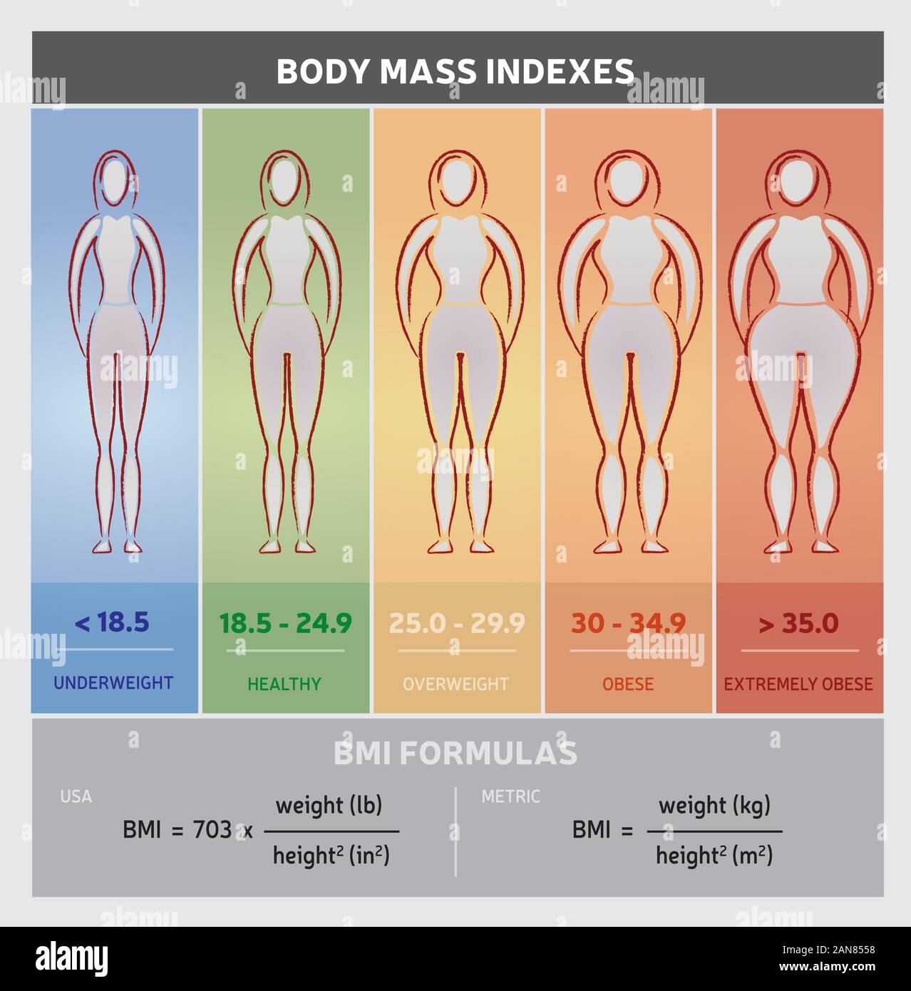 Bmi Chart Hi Res Stock Photography And Images Alamy Bmi Chart Hi Res Stock Photography And Images Alamy