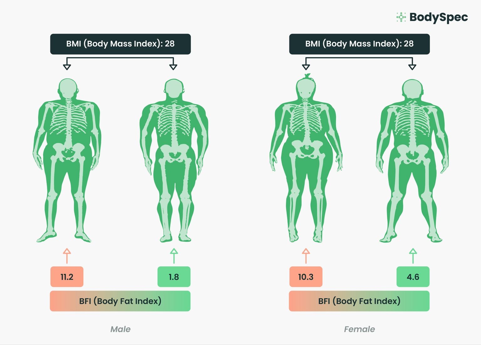 BMI Is Out BFI Is In Why BodySpec Created A Better Way To Measure Your Health BodySpec