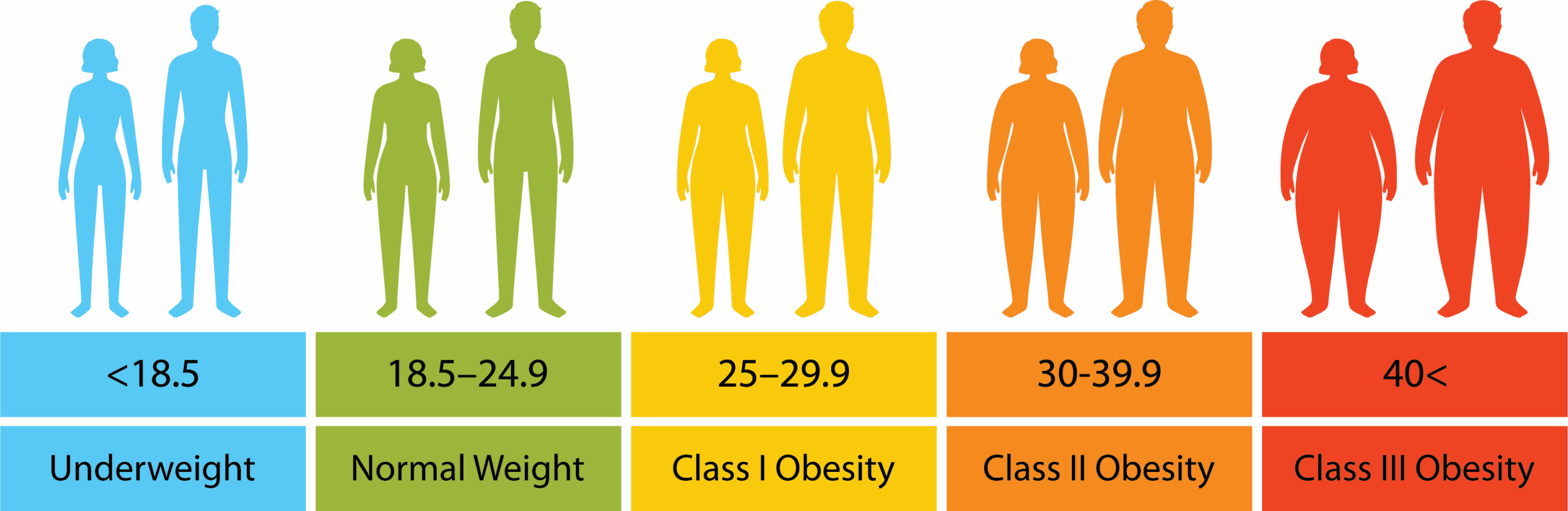 BMI Medical Metabolic Specialists