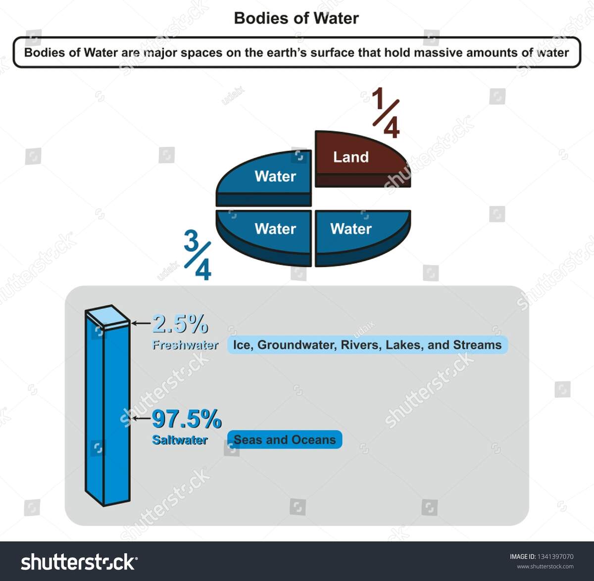 Bodies Water Infographic Diagram Pie Chart Stock Illustration 1341397070 Shutterstock