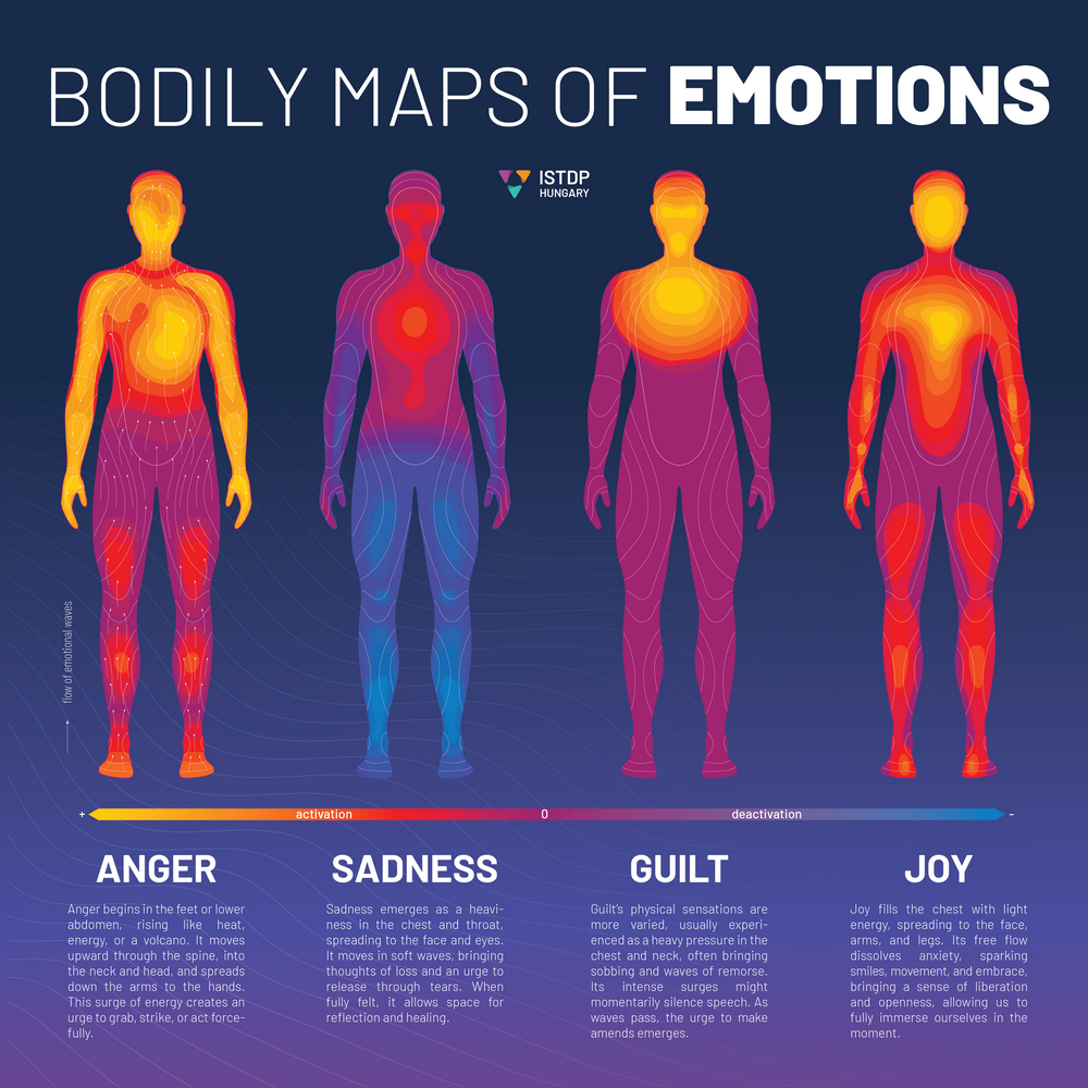 Bodily Map Of Emotions Journal Of Contemporary ISTDP