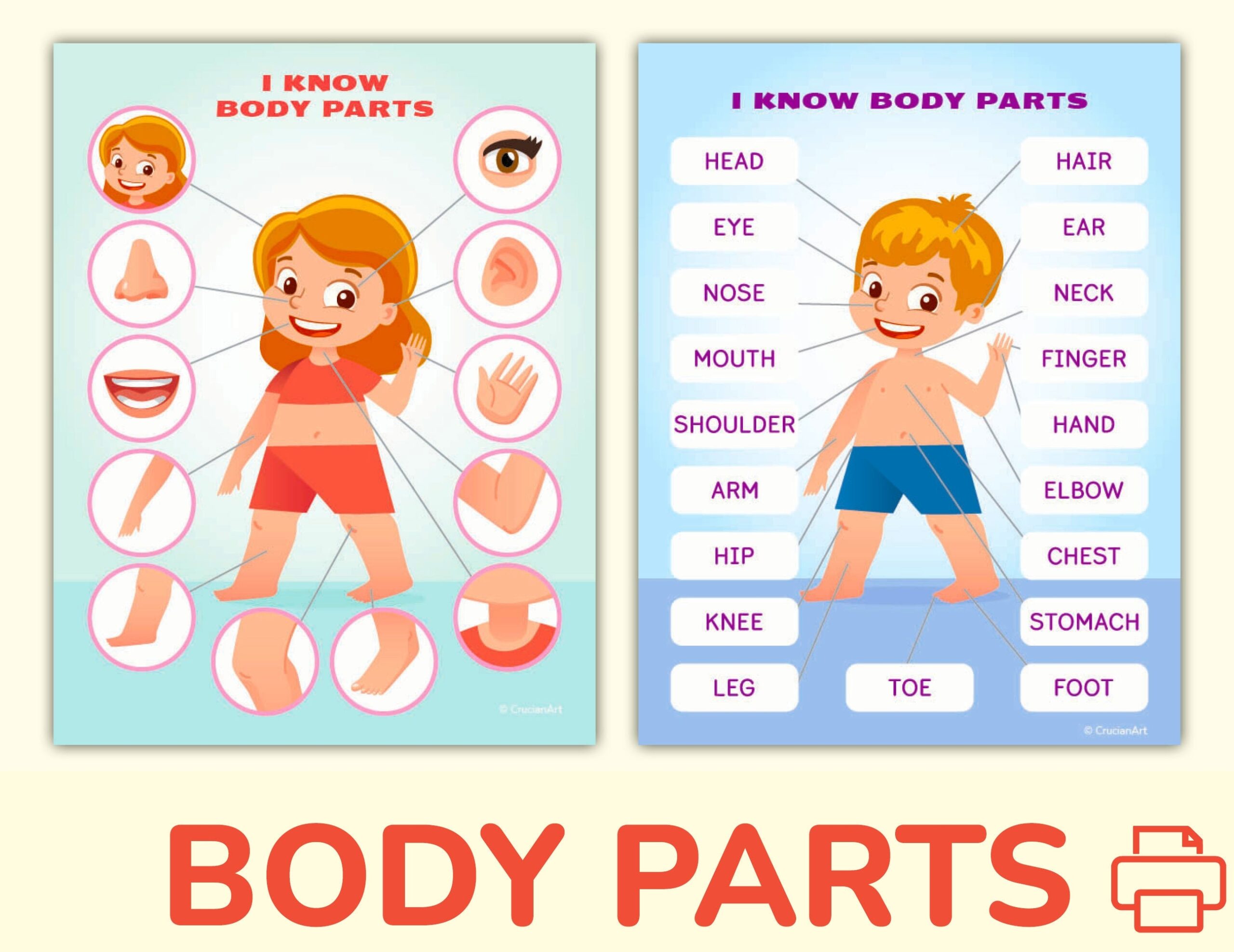 Body And Face Parts Printable Learning Pack For Toddler Preschool Pre K Kindergarten Human Body Activity Worksheets Etsy Body And Face Parts Printable Learning Pack For Toddler Preschool Pre K Kindergarten Human Body Activity Worksheets Etsy