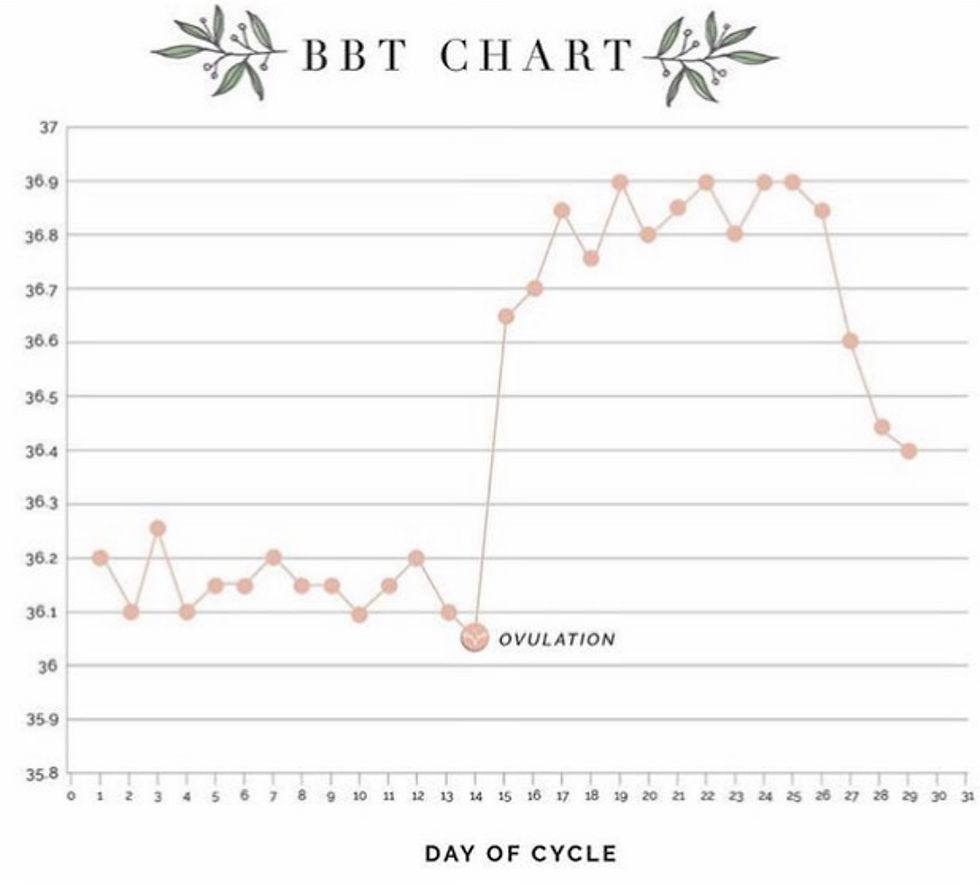 Basal Body Temperature Chart Patterns
