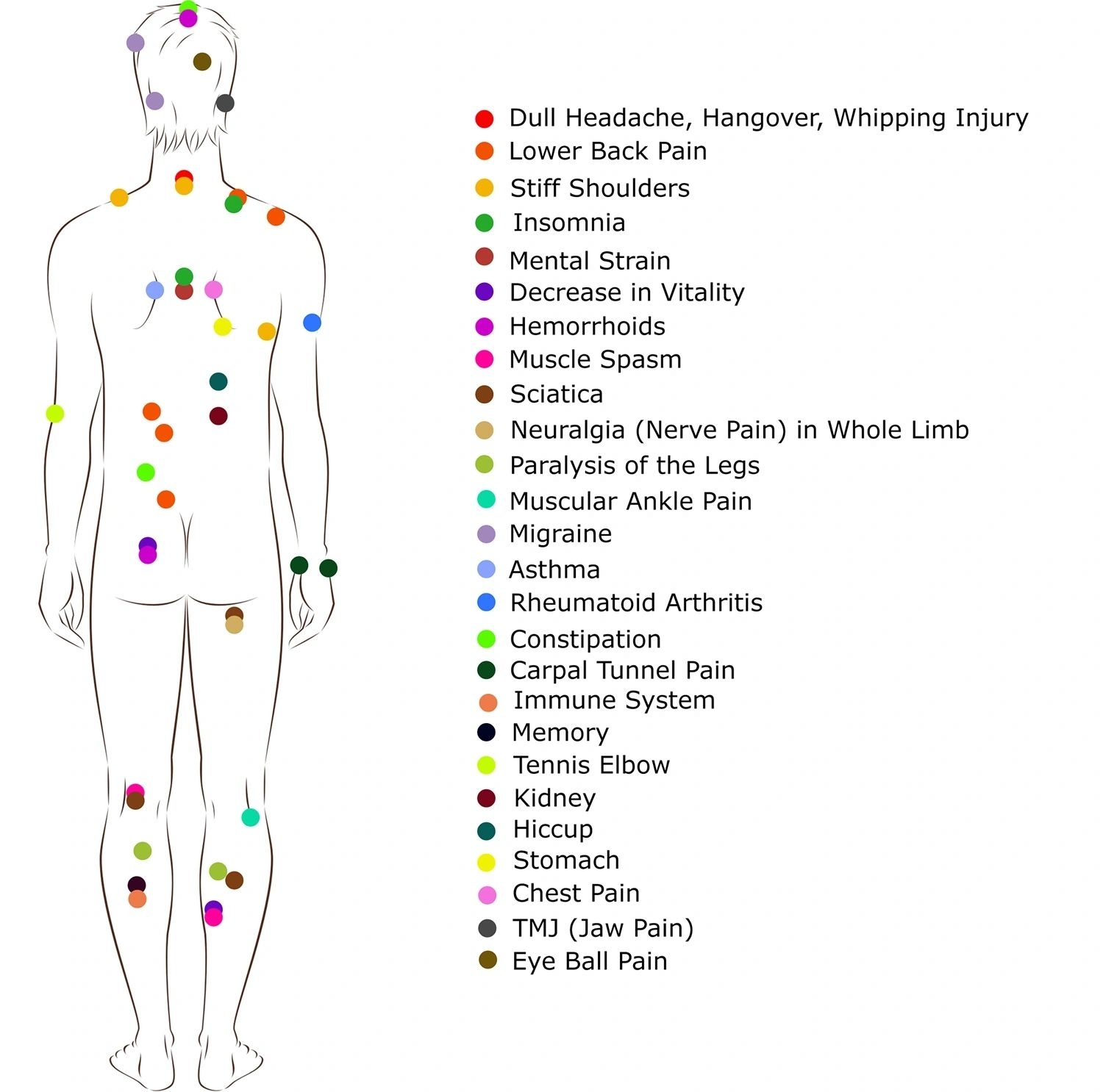 Body Chart