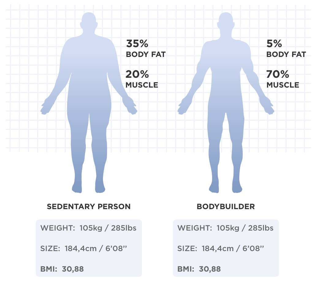 Body Composition BMI Calculator Bodyfat Percentage Body Sculpt Doc