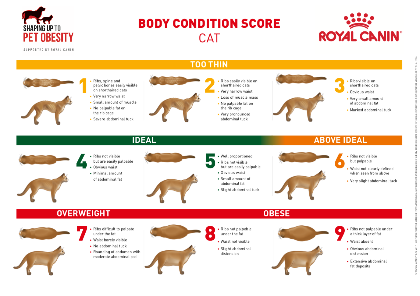Body Condition Score CWVC Limited Body Condition Score CWVC Limited