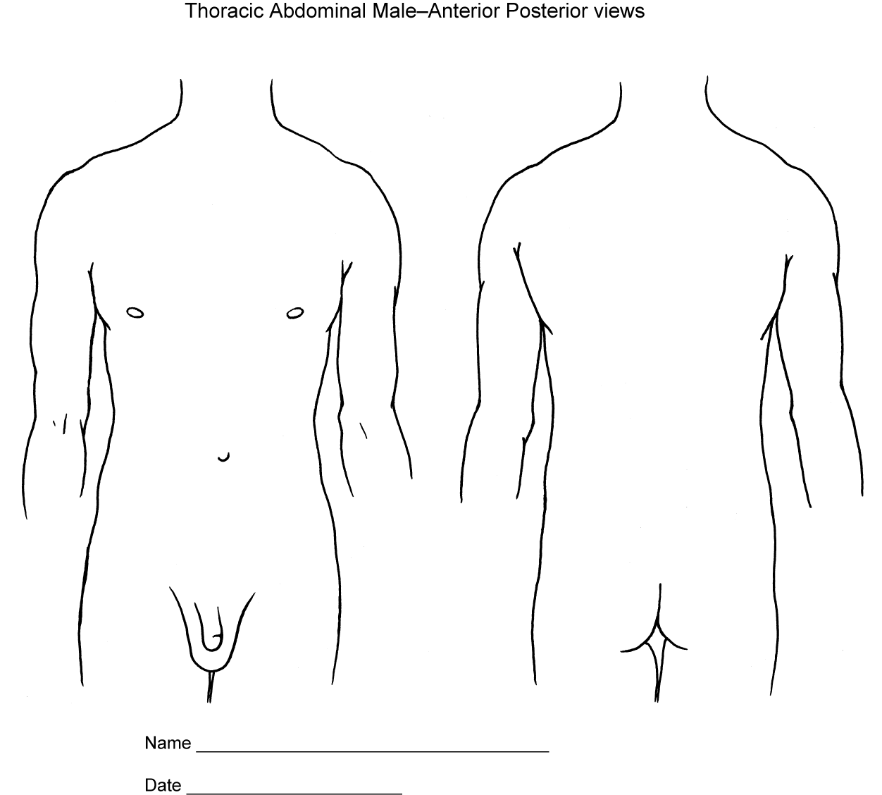 FREE Printable Blank Measurement Chart For Adults Youth