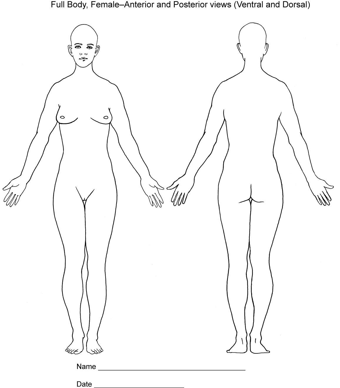 84 Thousand Male Body Outline Royalty Free Images Stock Photos Pictures Shutterstock