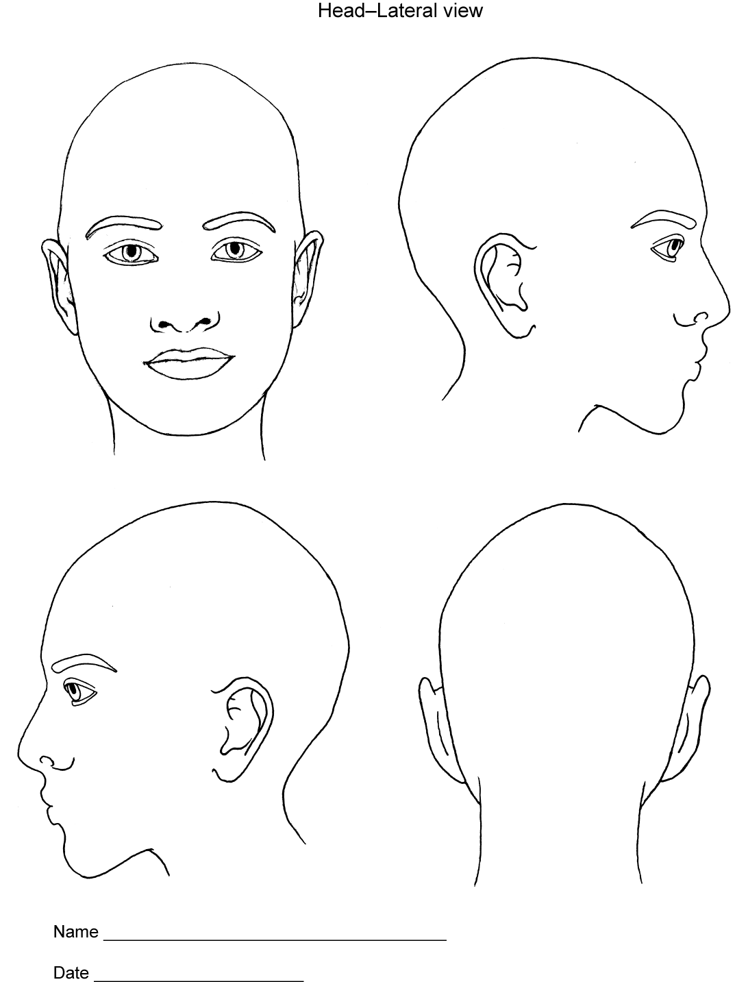 Body Diagrams Society Of Asylum Medicine
