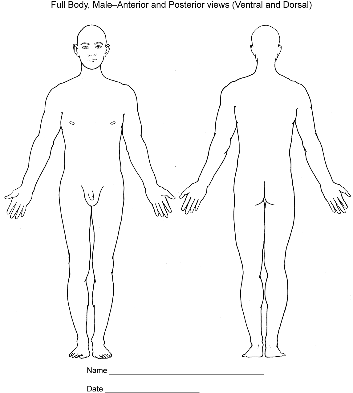 Body Diagrams Society Of Asylum Medicine