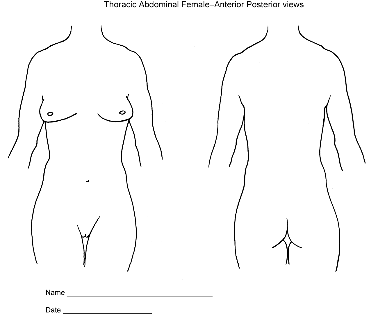 Body Diagrams Society Of Asylum Medicine