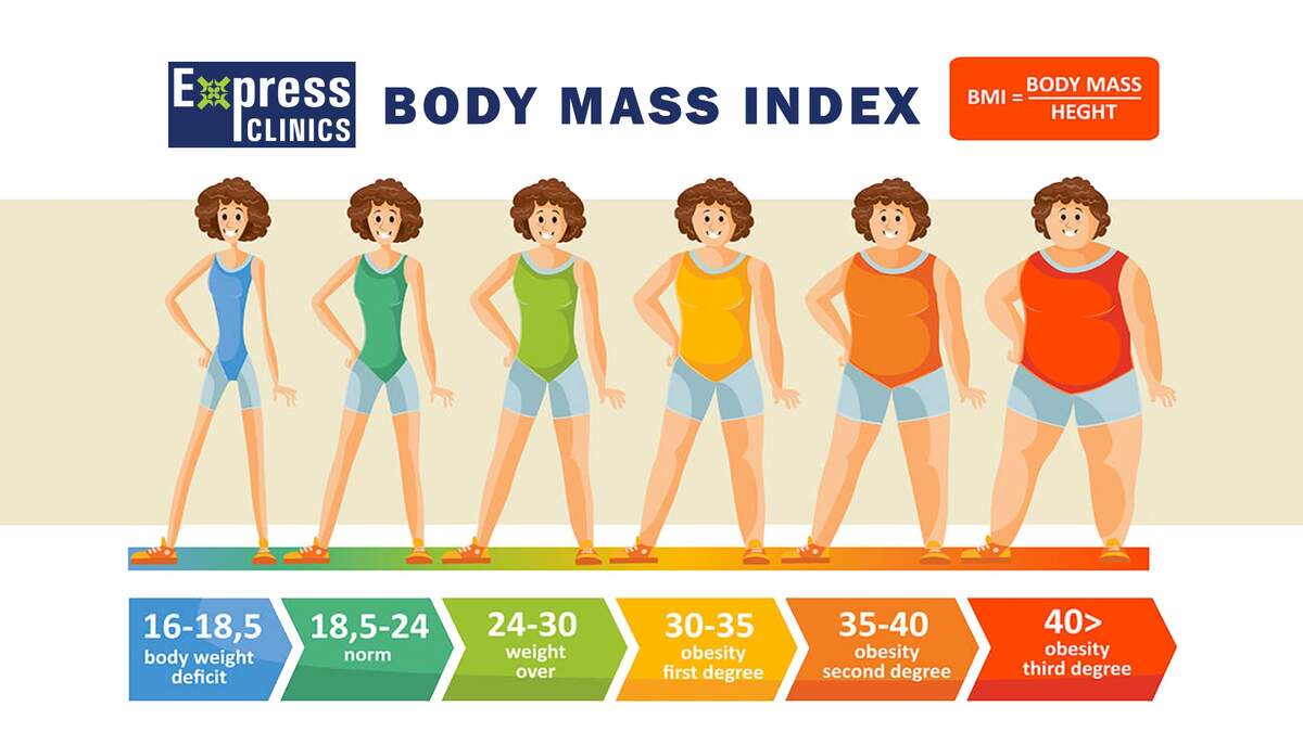 Body Fat Calculator For BMI Scale Full Body Check Up