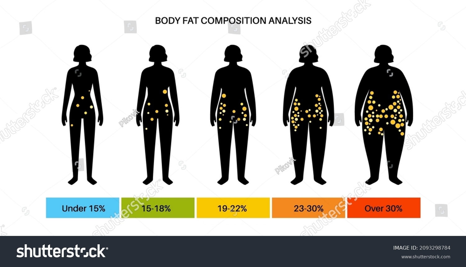 Body Fat Muscle Percentage Overweight Slim Stock Vector Royalty Free 2093298784 Shutterstock Body Fat Muscle Percentage Overweight Slim Stock Vector Royalty Free 2093298784 Shutterstock