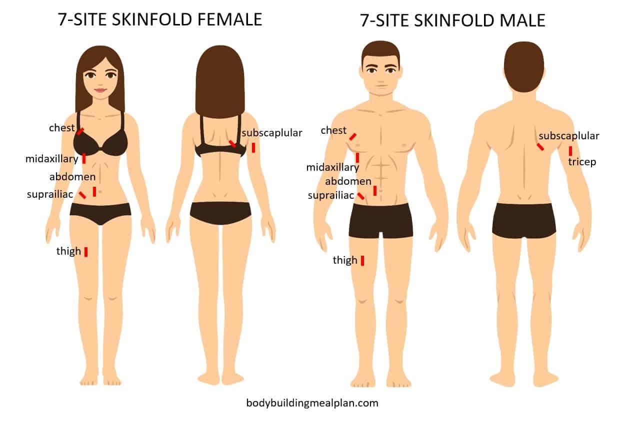 Body Fat Percentage Calculator Caliper Circumference Or Visual