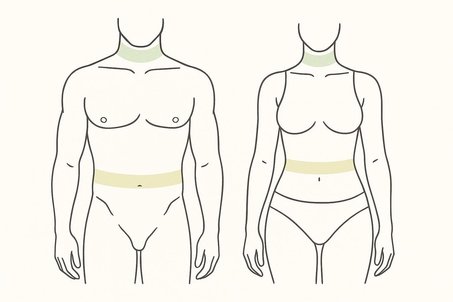 Body Fat Percentage Calculator Free Tool And Complete Guide BodySpec