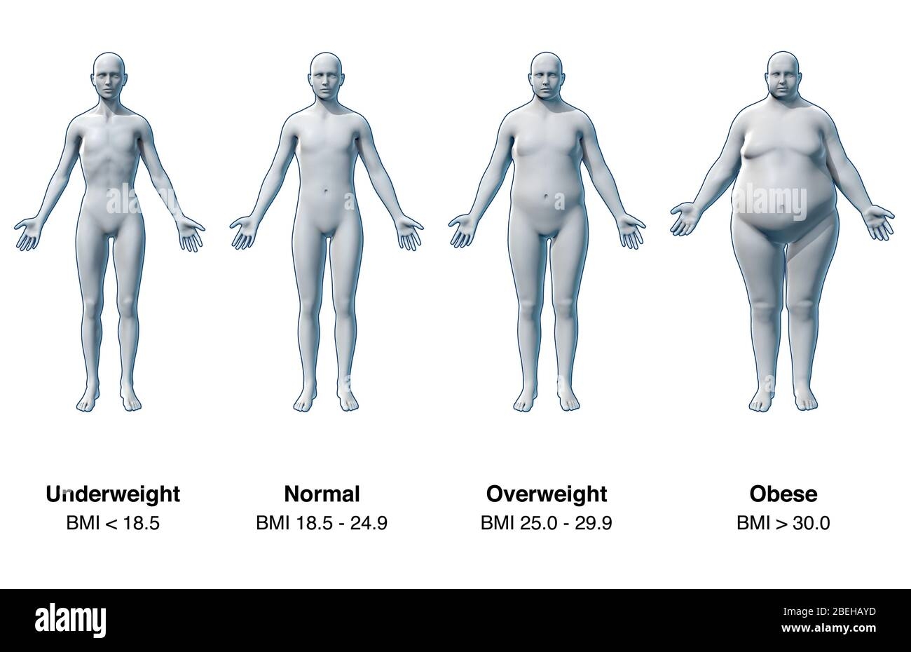 Body Fat Percentage Chart Hi Res Stock Photography And Images Alamy