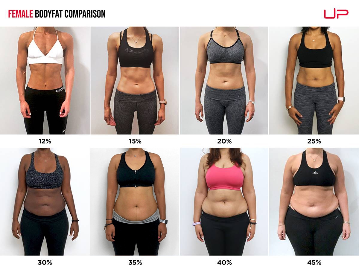 Body Fat Percentage Comparison For Women Visual Guide Ultimate Performance