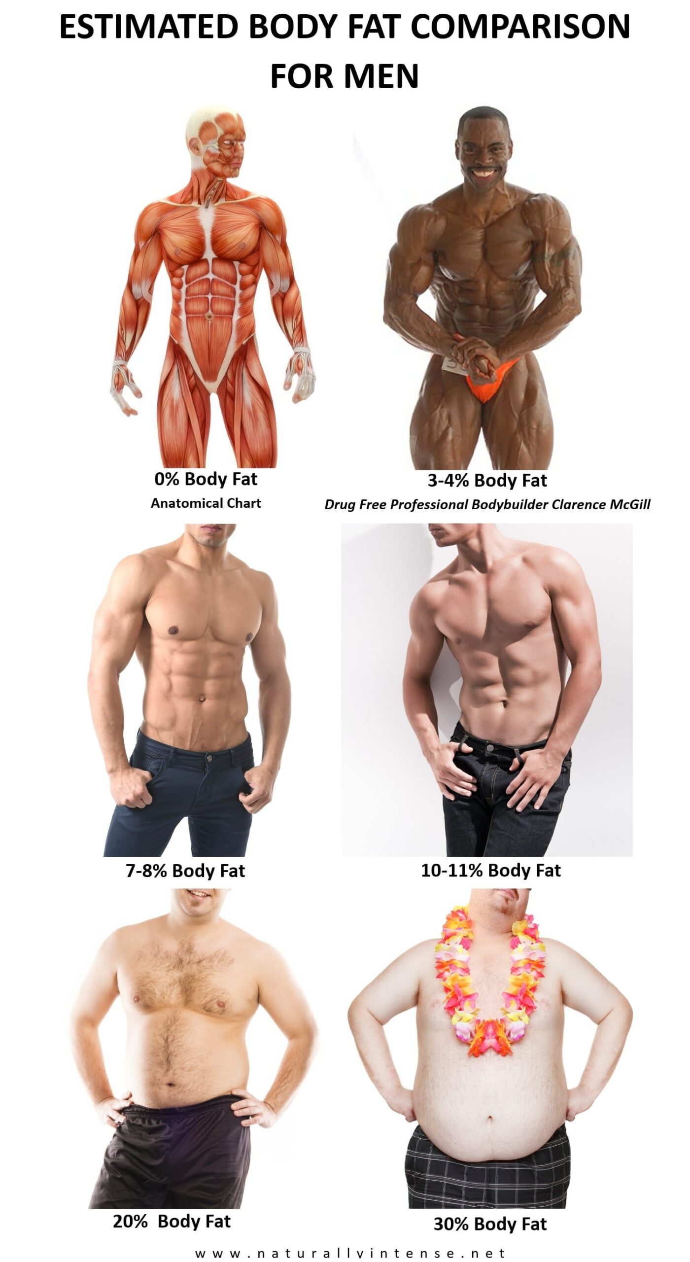 Body Fat Percentage Comparisons For Men Women 2023 Updated