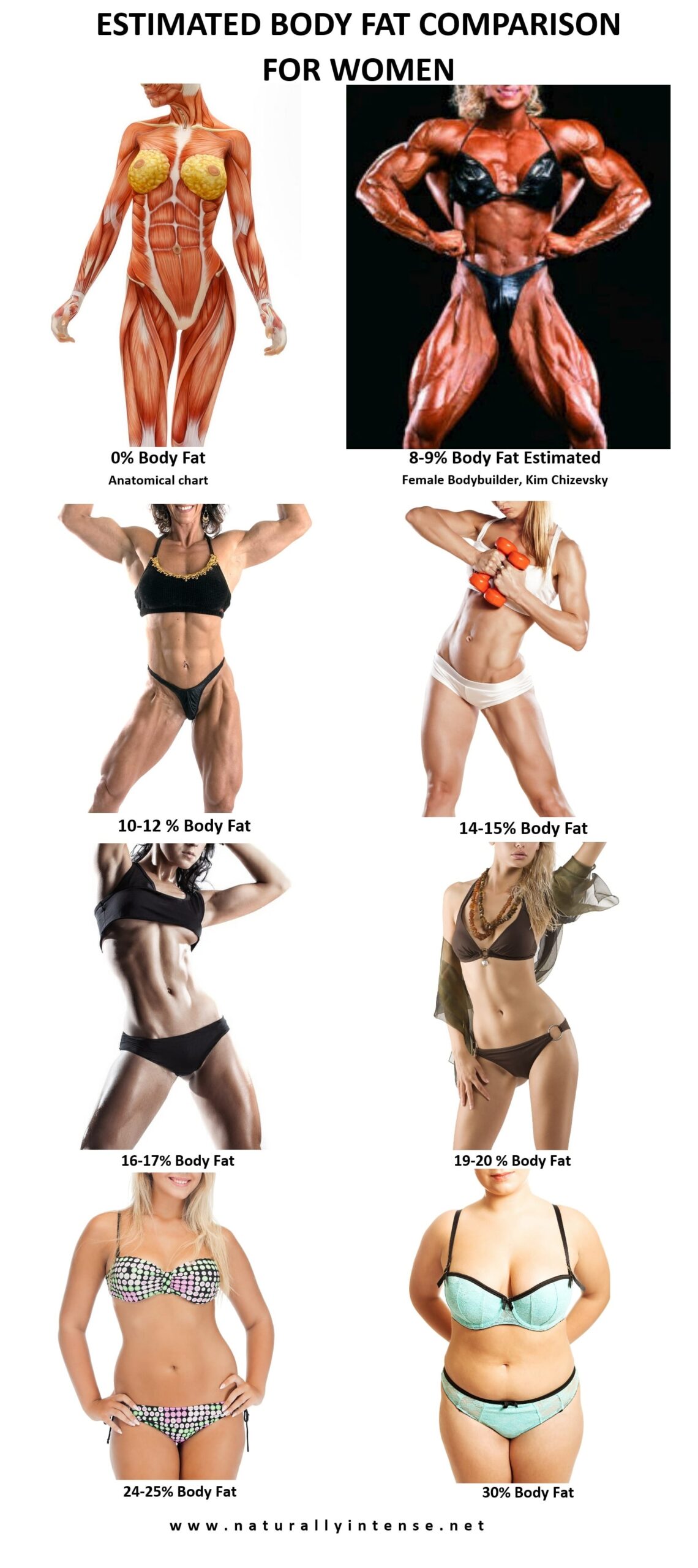 Body Fat Percentage Comparisons For Men Women 2023 Updated