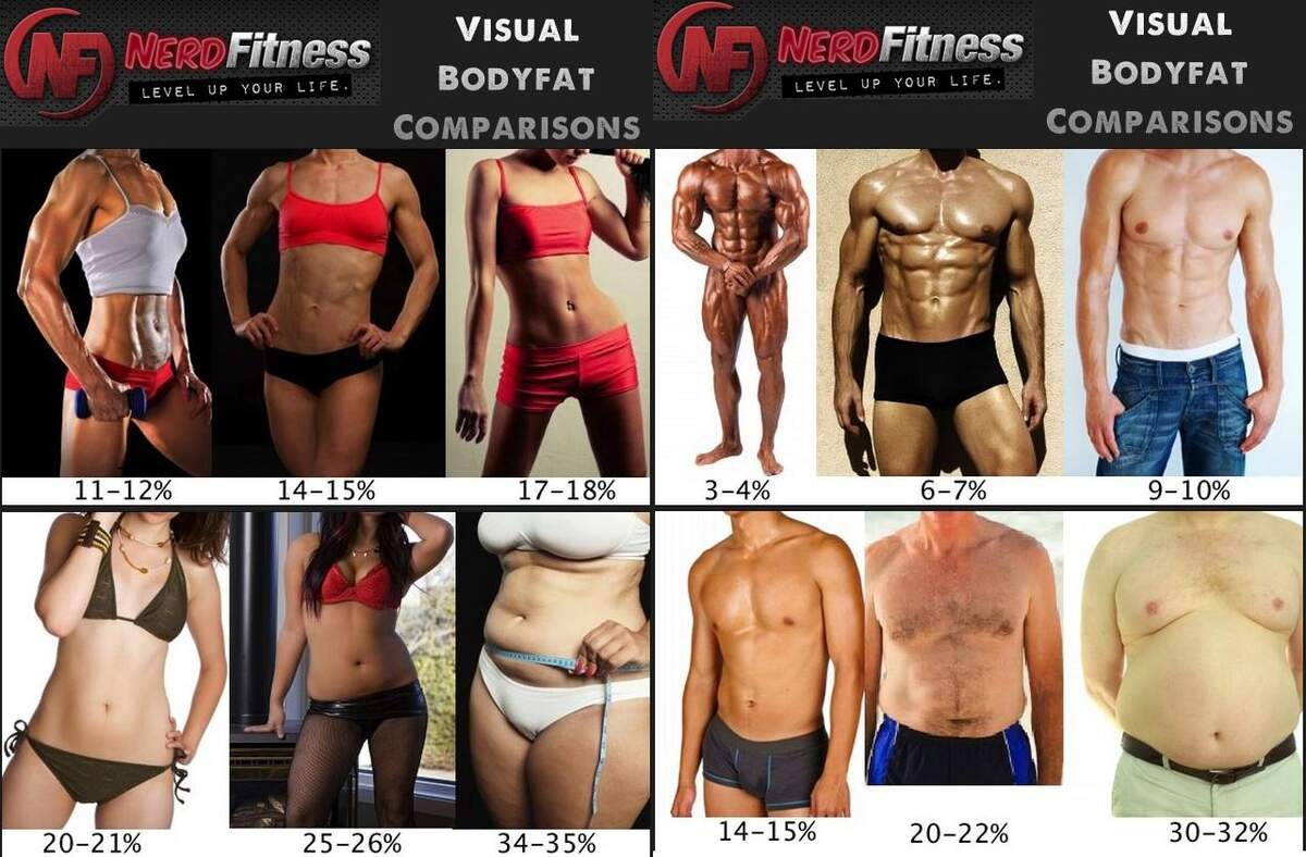 Body Fat Percentage EN World D D Tabletop RPG News Reviews Body Fat Percentage EN World D D Tabletop RPG News Reviews