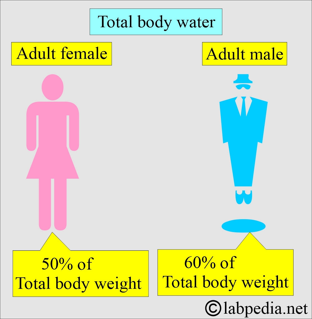 Body Fluids Their Importance And Risk Of Infections Labpedia