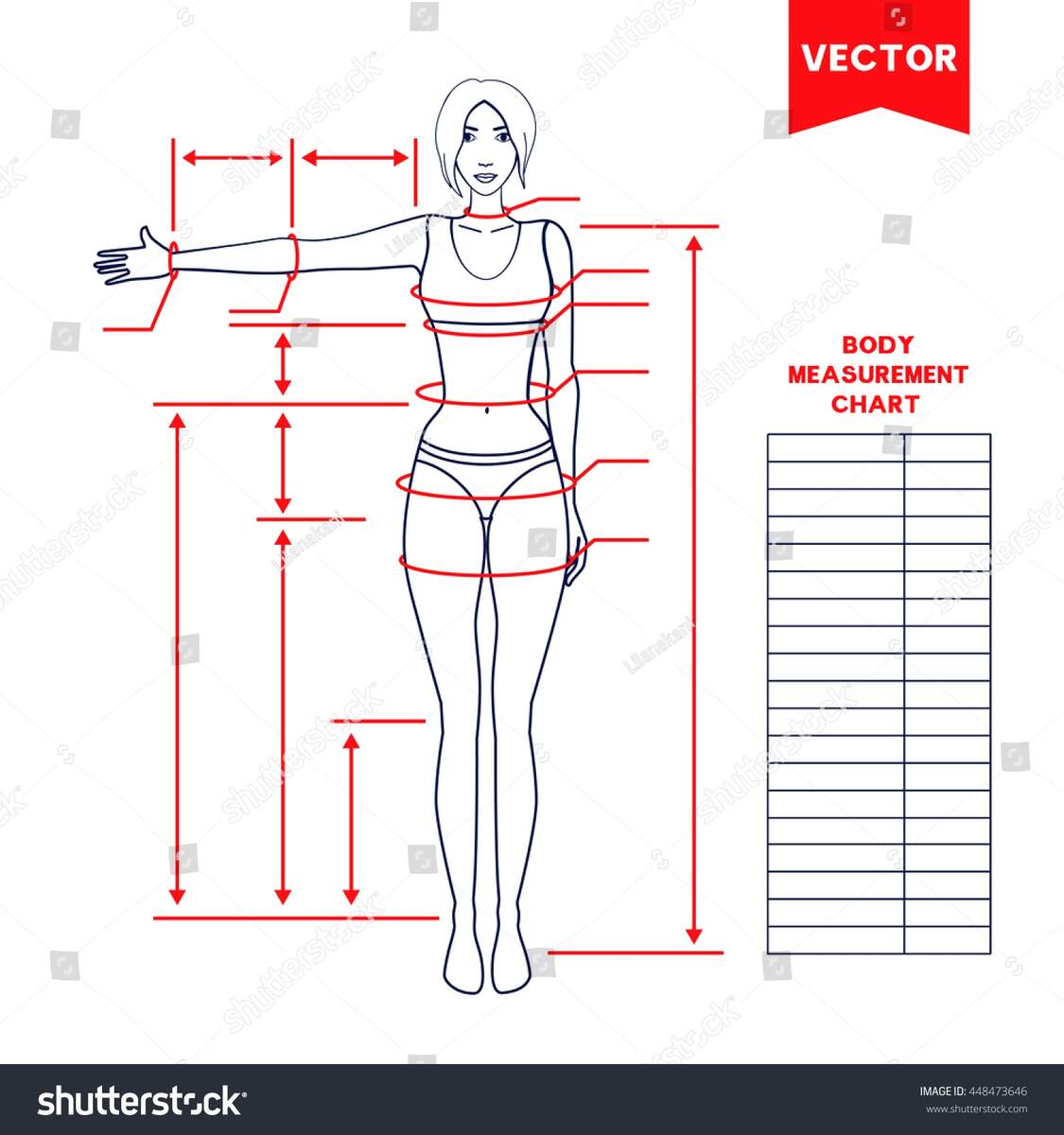 Body Ladies Suit Measurement Woman Body Measurement Chart Scheme Measurement Stock Vector