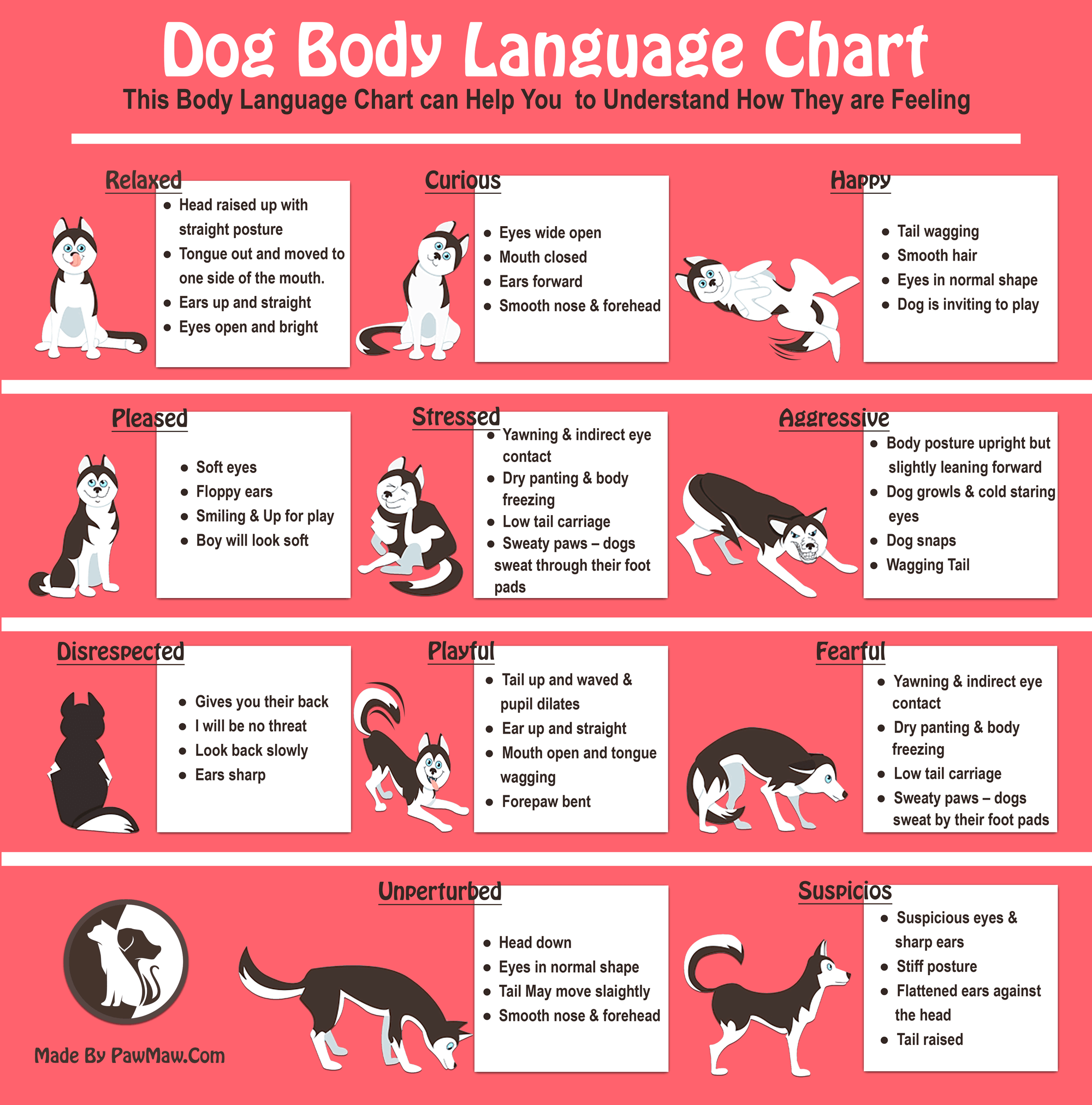 Cat And Dog Body Language Comparison Educational Infographic Chart Feline And Canine Emotions And Behavior Cute Cartoon Vector Illustration Printa Stock Vector Image Art Alamy