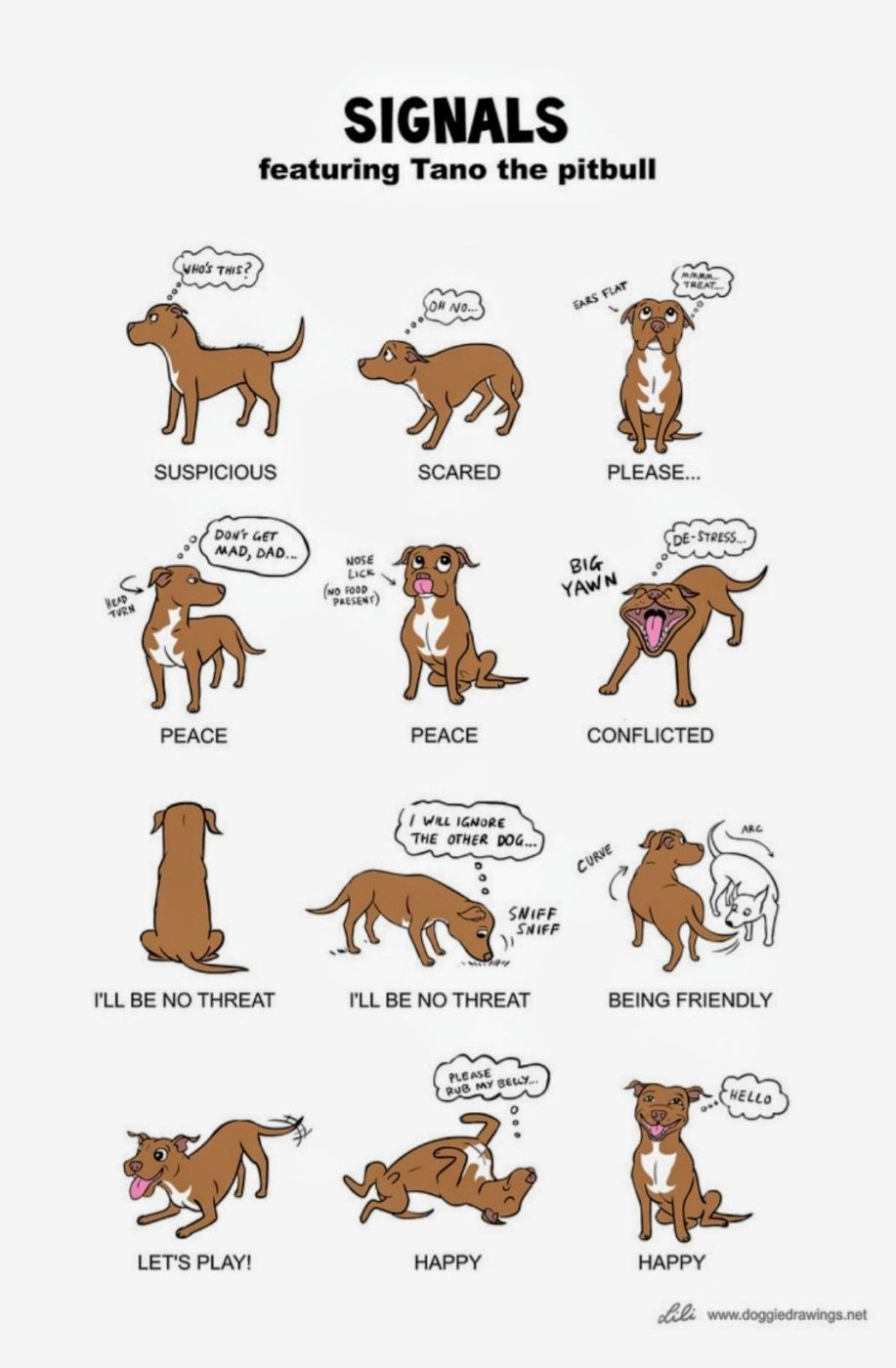 Body Language Resources San Diego Humane Society Understand Your Dog S Body Language Pitbull Luv About Dog Behavior