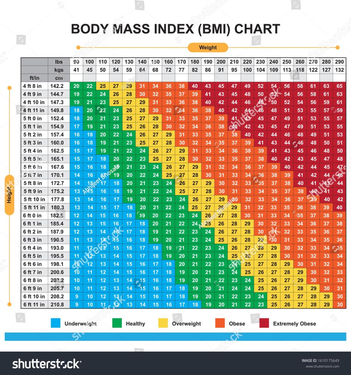 Body Mass Index Bmi Chart Stock Vector Royalty Free 1610175649 Shutterstock