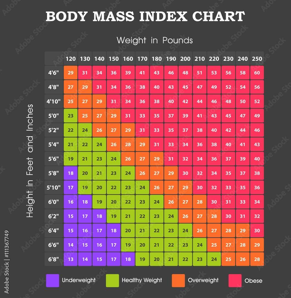 Body Mass Index Chart Height An Weight Infographic Stock Vector Adobe Stock Body Mass Index Chart Height An Weight Infographic Stock Vector Adobe Stock