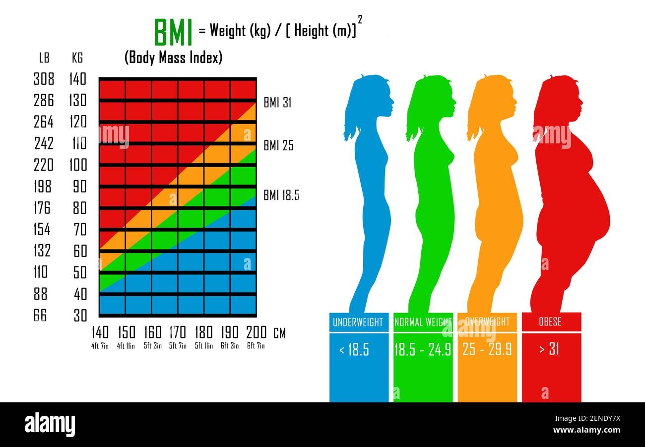 Body Mass Index Chart Hi Res Stock Photography And Images Alamy