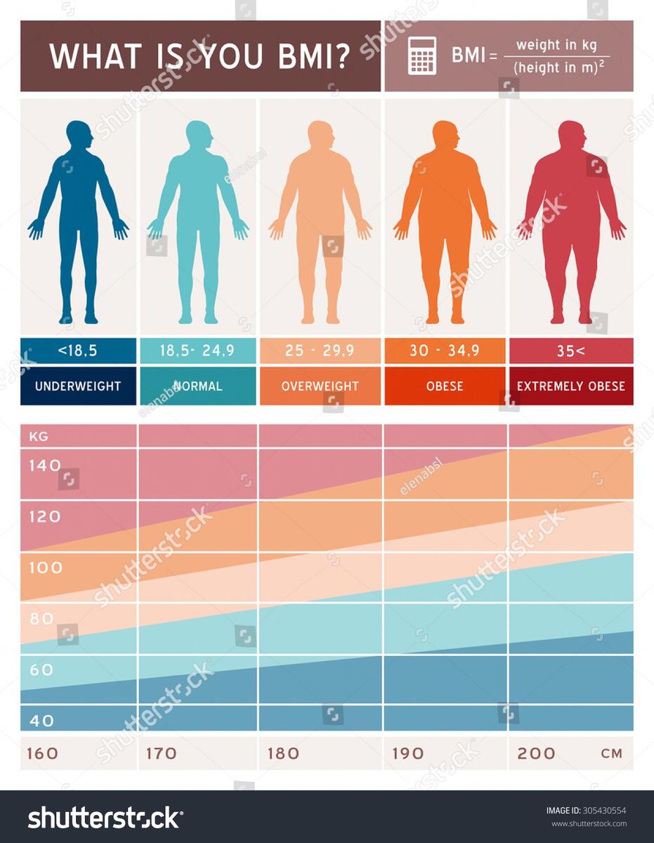 Body Mass Index Infographics Body Shapes Stock Vector Royalty Free 305430554 Shutterstock