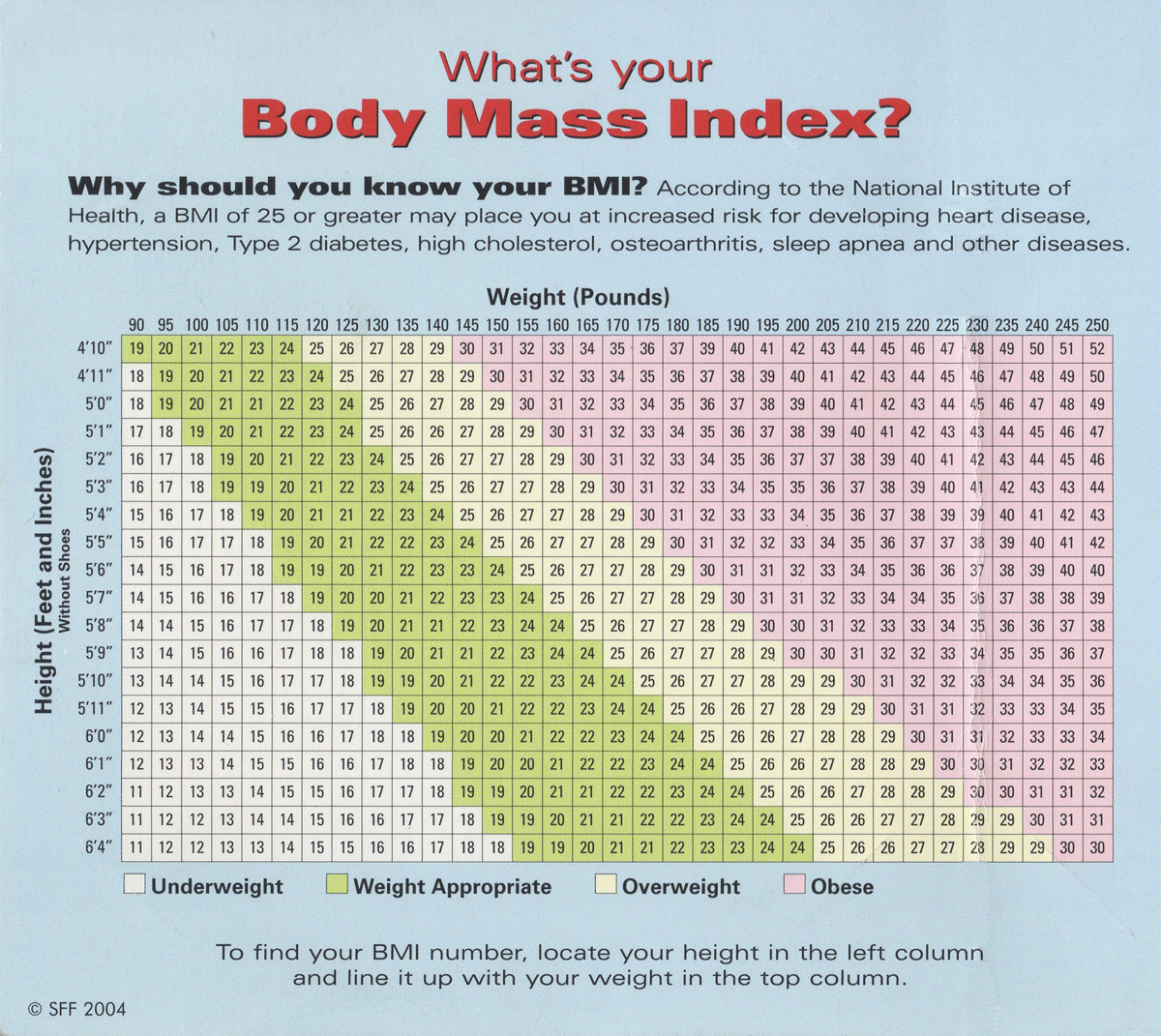Body Mass Index Proactiveoutside