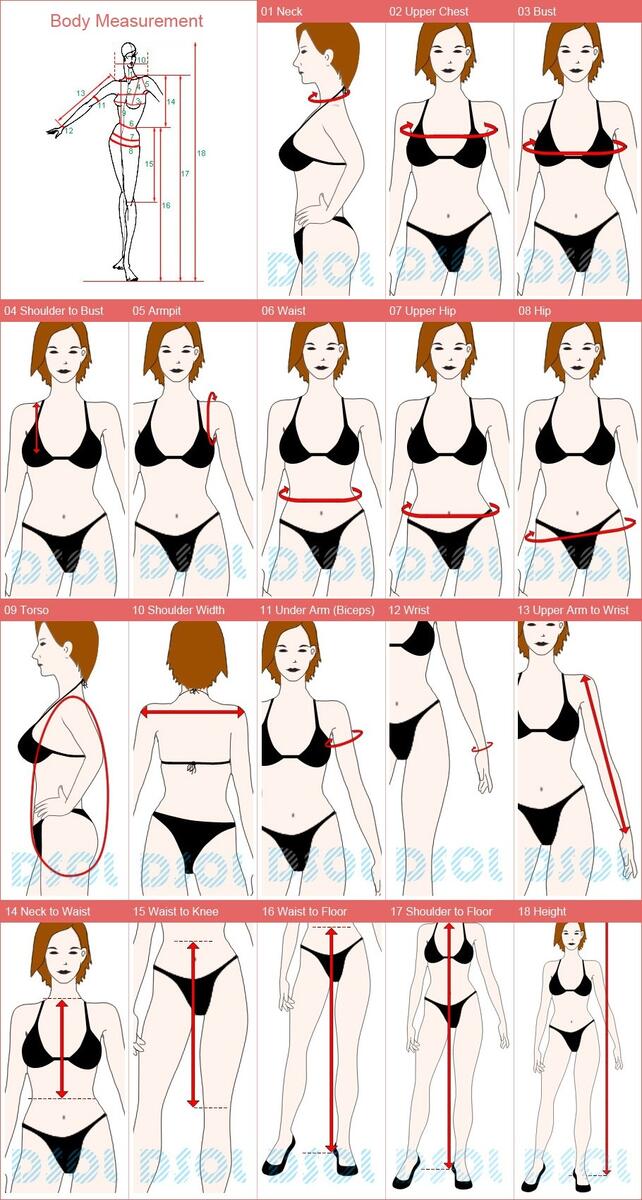 Body Measurement