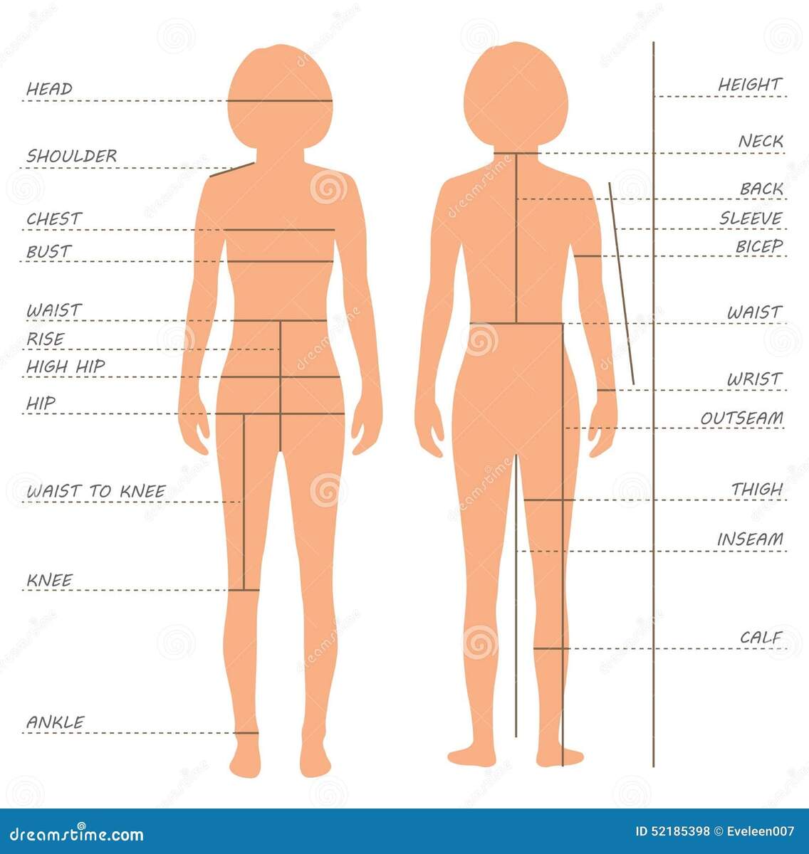 Body Measurements Size Chart Stock Illustrations 430 Body Measurements Size Chart Stock Illustrations Vectors Clipart Dreamstime Measurement Size Chart For Women 039 S Clothing Size Chart Women Measurements Clothing Female Stock Vector
