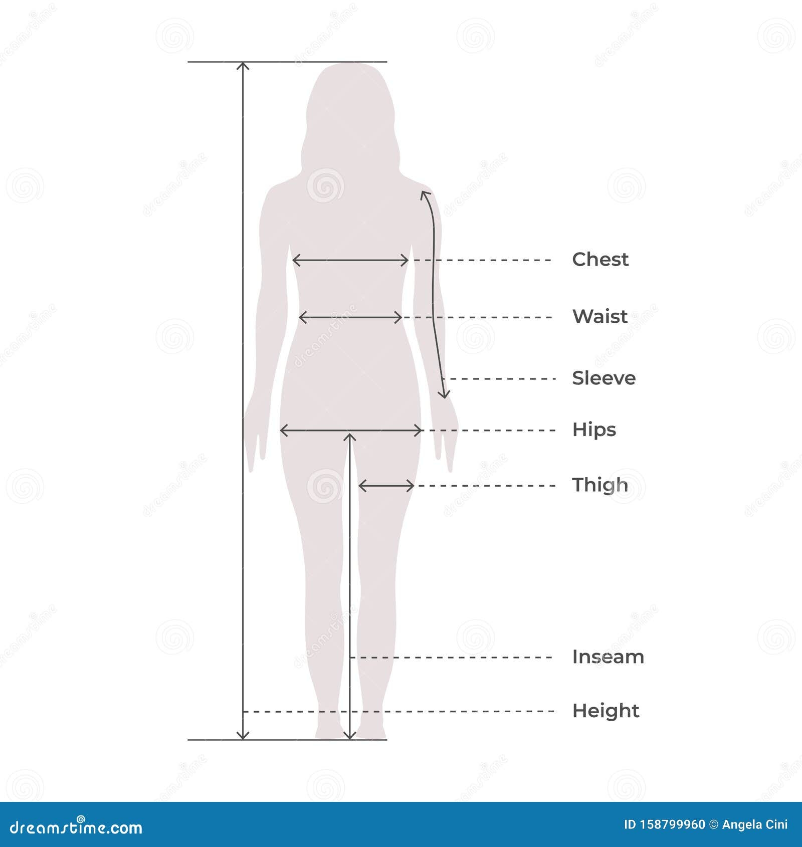 Body Measurements Size Chart Stock Illustrations 430 Body Measurements Size Chart Stock Illustrations Vectors Clipart Dreamstime Body Measurements Size Chart Stock Illustrations 430 Body Measurements Size Chart Stock Illustrations Vectors Clipart Dreamstime