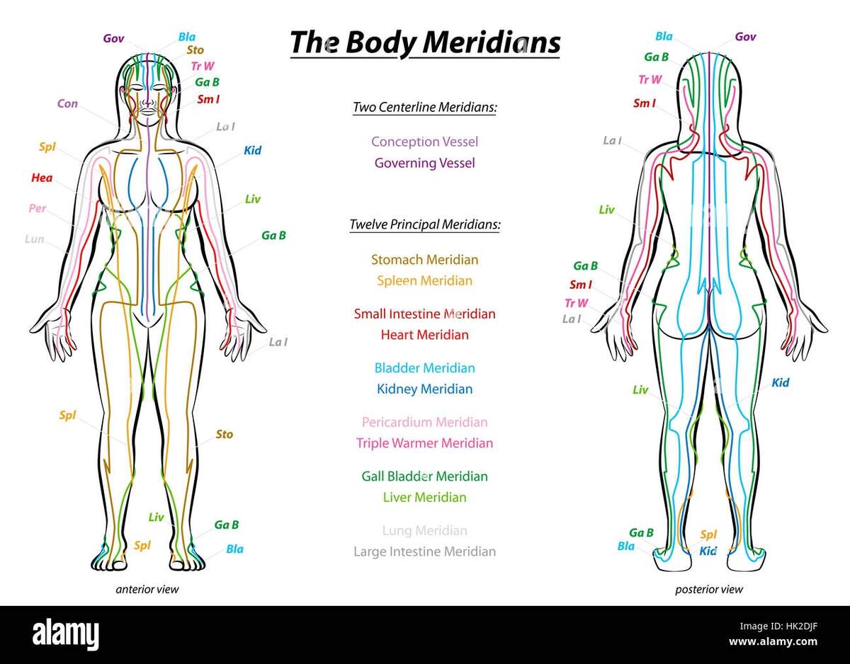 Body Meridians Chart Hi Res Stock Photography And Images Alamy Body Meridians Chart Hi Res Stock Photography And Images Alamy