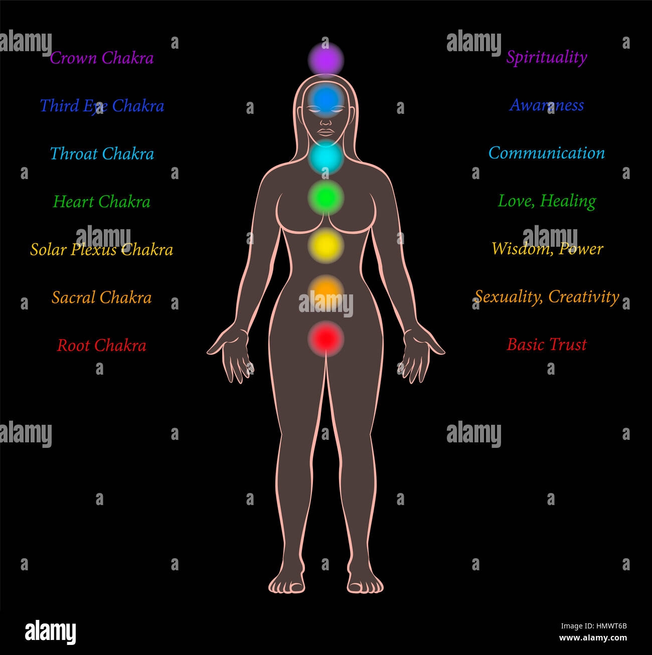 Body Meridian Chart Stock Illustrations 36 Body Meridian Chart Stock Illustrations Vectors Clipart Dreamstime