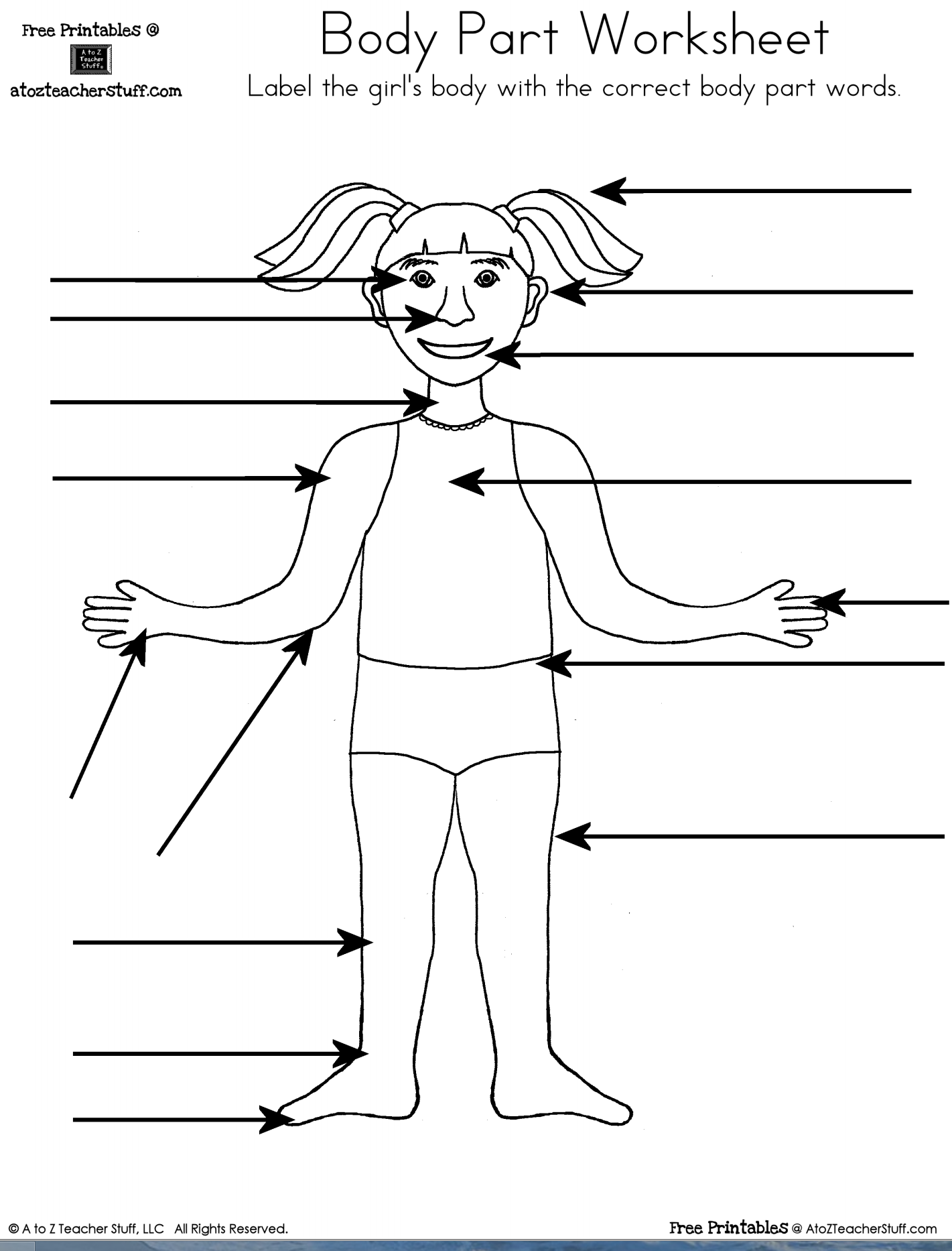 Human Body Muscles Diagram Activity Pack