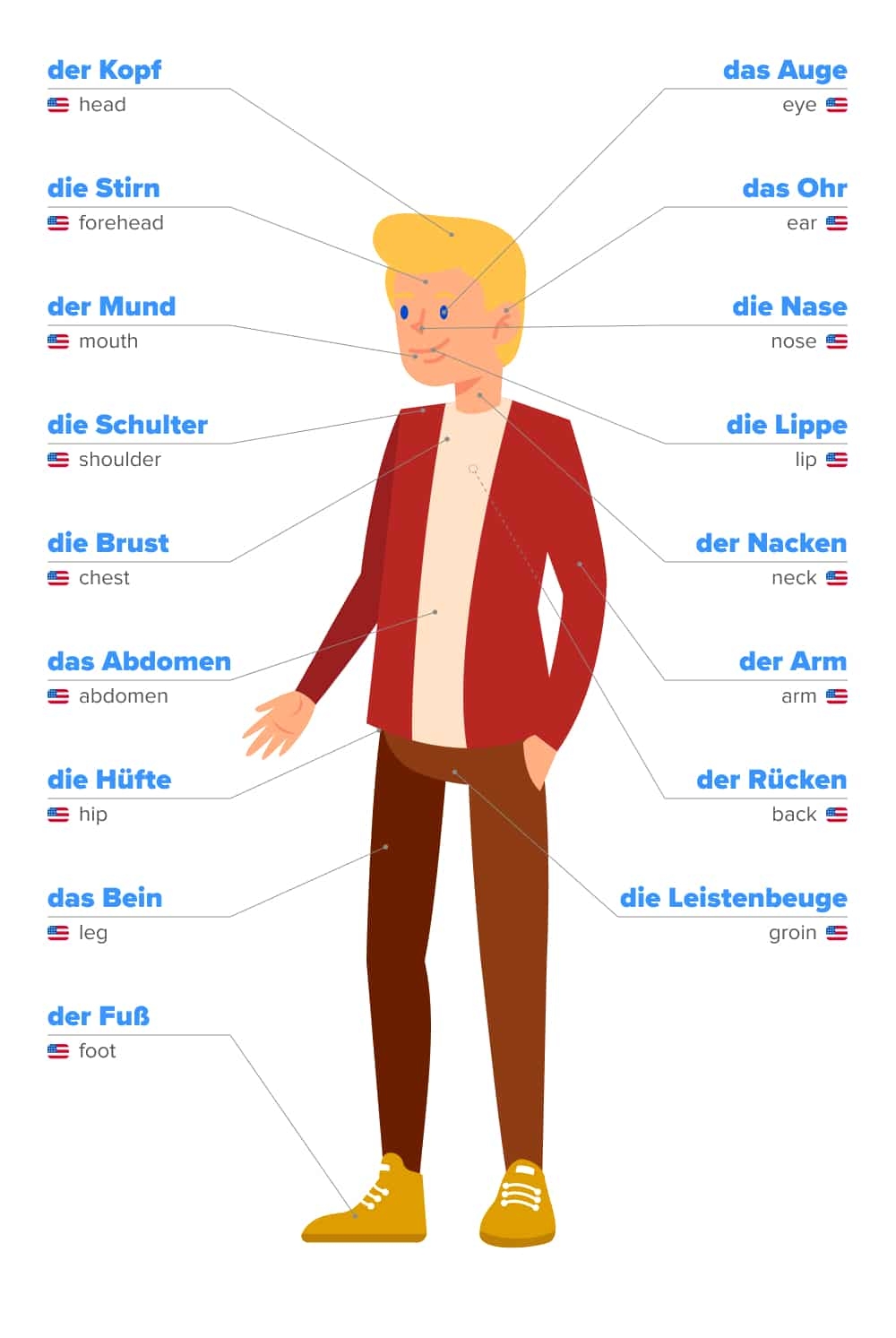 Body Parts In German FluentU