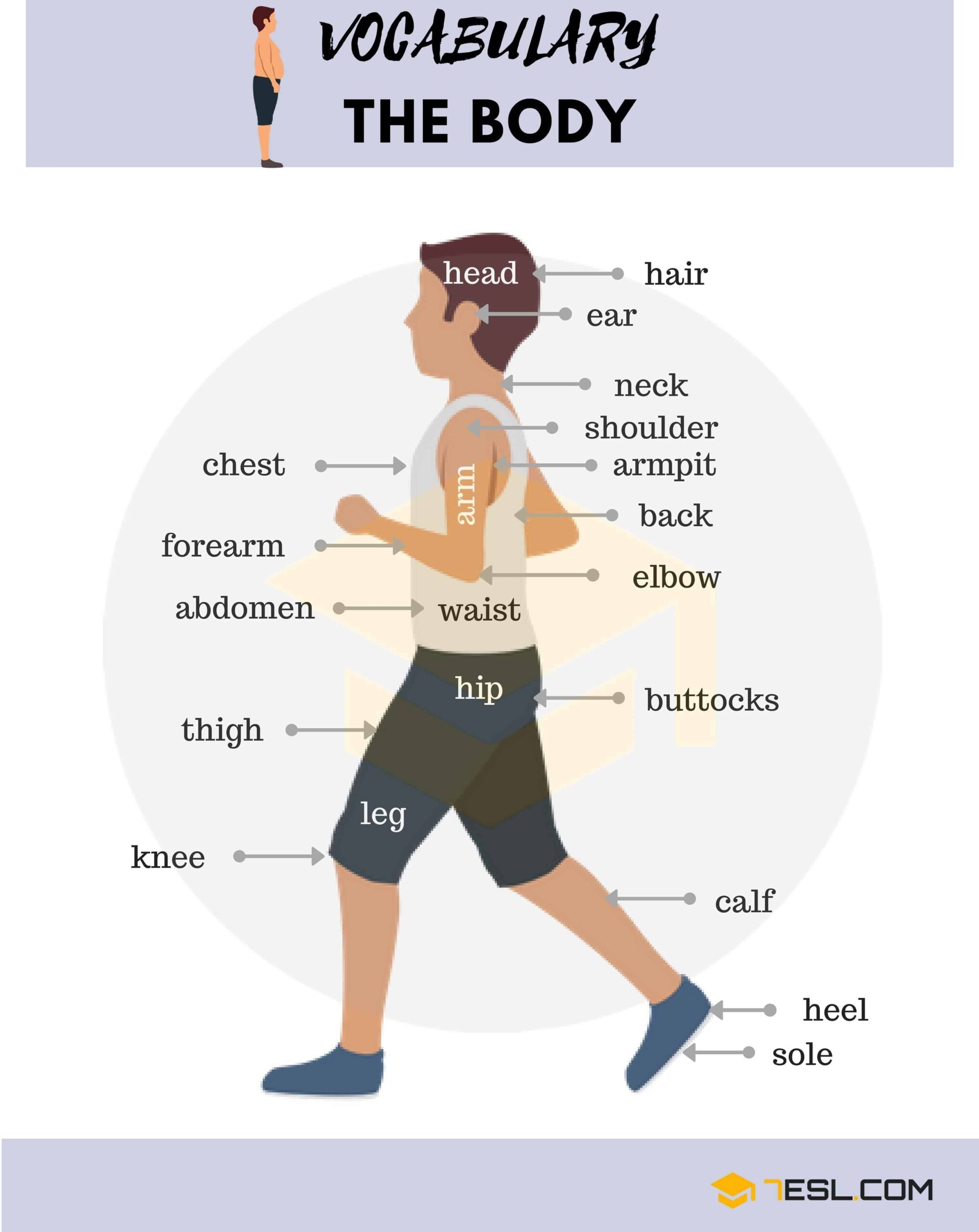 Body Parts Names 7ESL