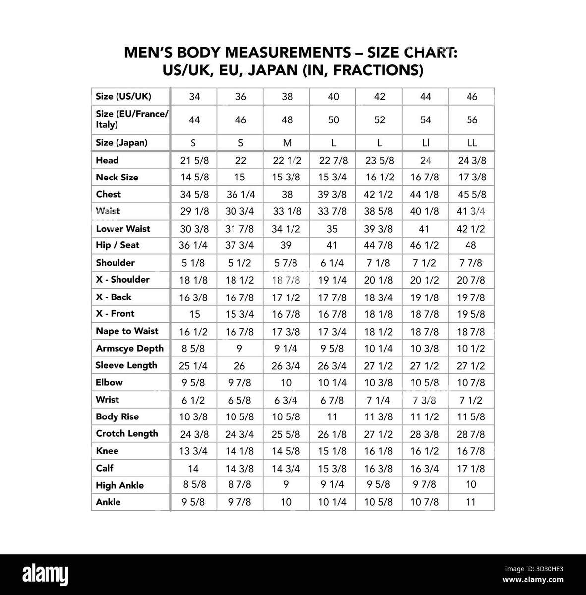 Body Size Chart Cut Out Stock Images Pictures Alamy