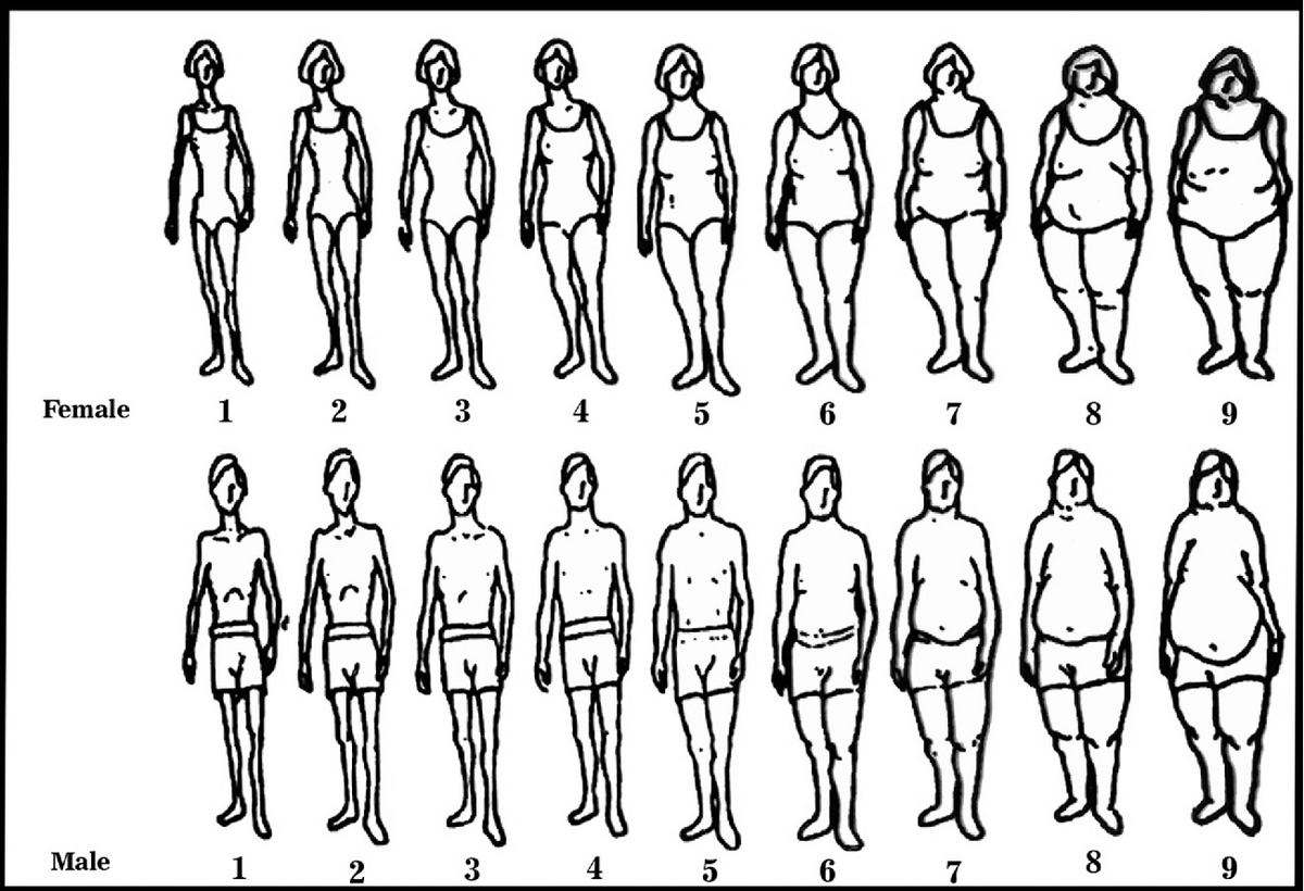 Body Size Preferences Among Young Women In Five Arab Countries A Cross Cultural Study Semantic Scholar